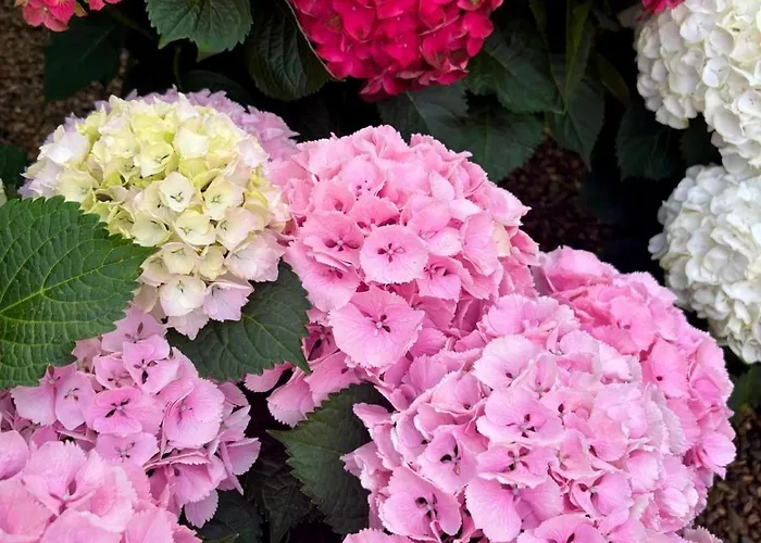 Torre Collevento Luxury Вилла Орвието